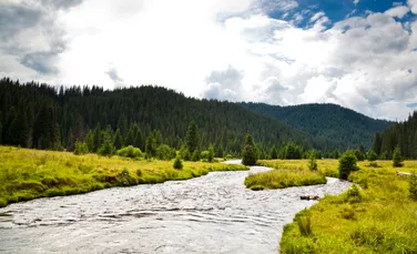 Valea Frumoasei: de-a lungul „apei viforoase” descrise de Sadoveanu