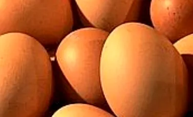 Ouălor le-a scăzut colesterolul!
