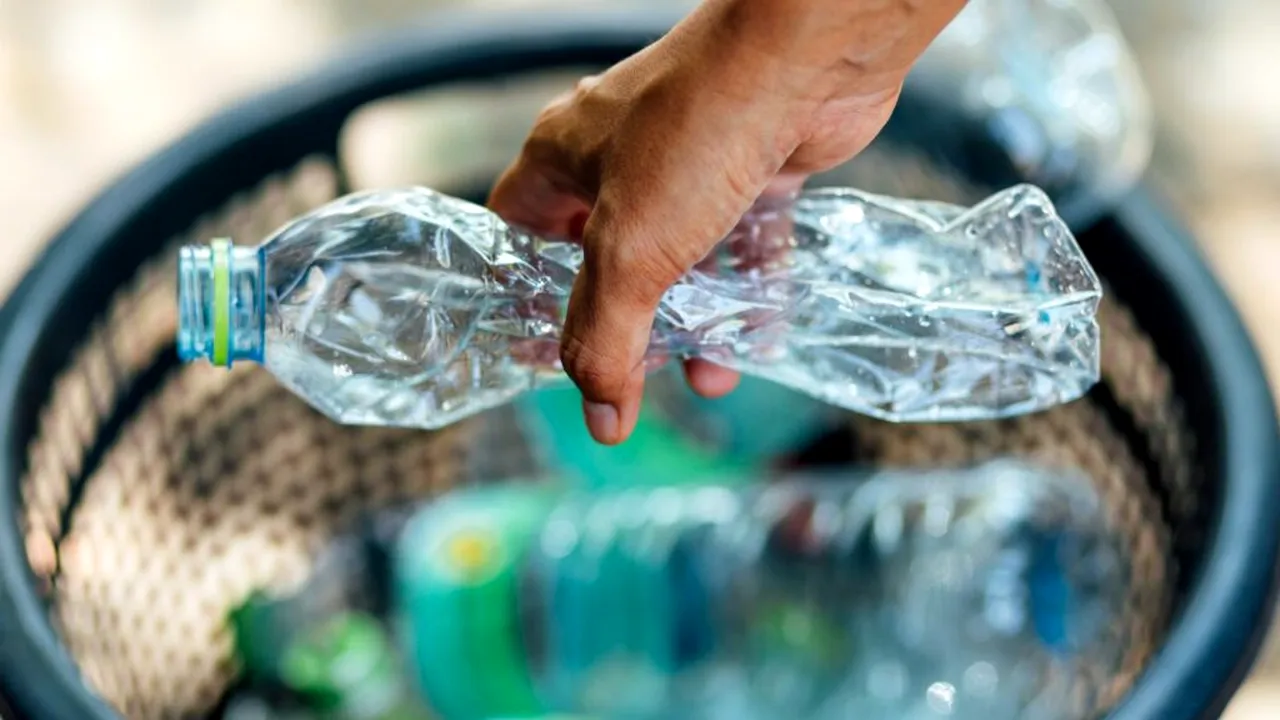plasticul viu_shutterstock_Descoperă (2) 