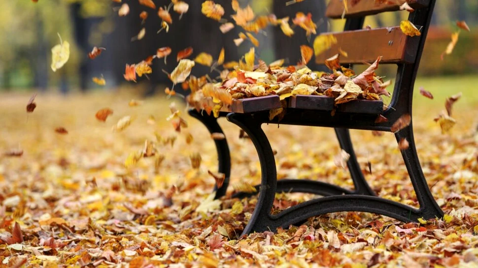 Test de cultură generală. De unde vine vântul?