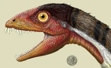 Daemonosaurus chauliodus, veriga lipsă din istoria dinozaurilor