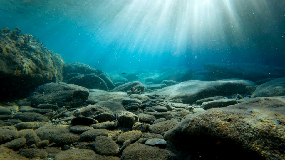 Şi o creatură mică poate lăsa umbre foarte mari, dovadă această descoperire despre importanţa microorganismelor din adâncul oceanelor