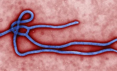 Fotografia zilei – Ebola