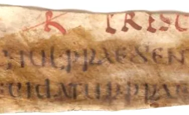 Fragment pierdut din Dreptul roman a fost regasit