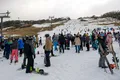 Imaginea virală, descoperită pe ecranul unui telefon pierdut la schi în Australia