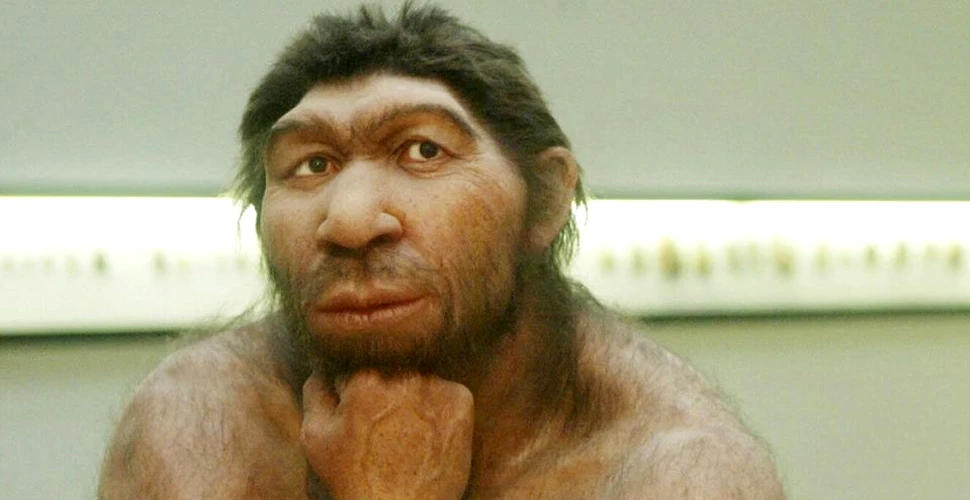 De ce au dispărut Neanderthalienii? Descoperire surpriză a cercetătorilor