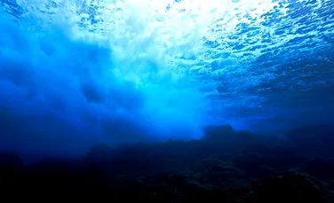 Cum s-a format Marele Canion al Atlanticului? Se întinde pe 500 de kilometri de-a lungul fundului mării!