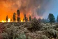 Încălzirea globală și exploatarea terenurilor vor duce la incendii de vegetație mai extreme