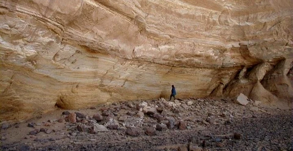 Printre cele mai vechi dovezi ale existenţei agriculturii au fost descoperite în Sahara. Datează de când aceasta era ”verde”