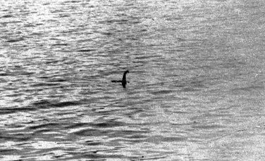 Creatură colosală sau penisul unei balene? Adevărul despre monstrul din Loch Ness