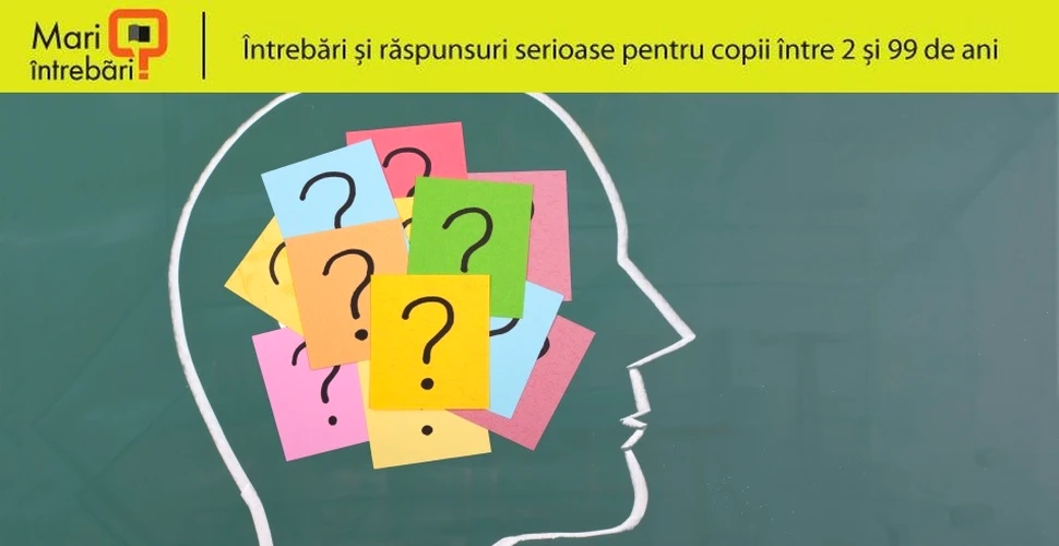 De ce se cred unii mai pricepuţi la anumite lucruri deşi în realitate nu sunt?