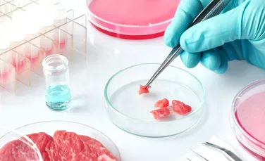 O companie din Islanda cultivă plante modificate genetic pentru a produce carne crescută în laborator