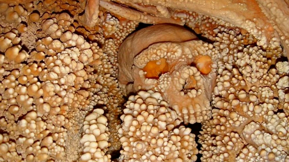 Italienii au extras cea mai veche probă ADN de la un om de Neanderthal