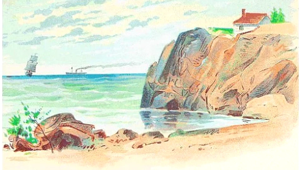 RĂSPUNS: Poţi găsi cele paru animale din imagine?