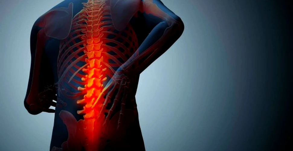 Ce simptome şi factori de risc are osteoporoza şi ce metode de diagnosticare există