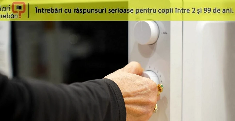 Ce se întâmplă atunci când punem gheața la microunde?