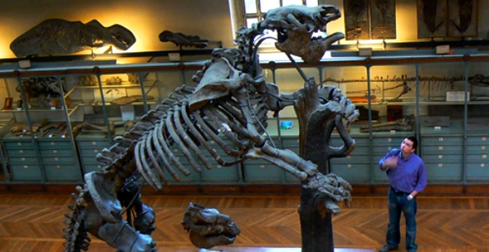 Cea mai veche fosila a unui lenes a fost dezgropata in Peru