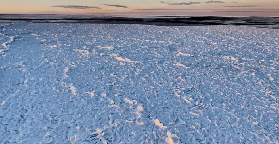 ,,Gheaţa dragonului,” fenomenul extrem de rar observat în Antarctica pentru prima oară în ultimii 10 ani