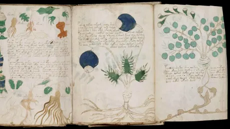 Manuscrisul Voynich: limbă pierdută sau cifru genial?