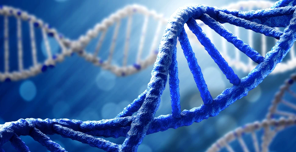 ADN şi ARN nu sunt singurele molecule care pot stoca informaţii genetice
