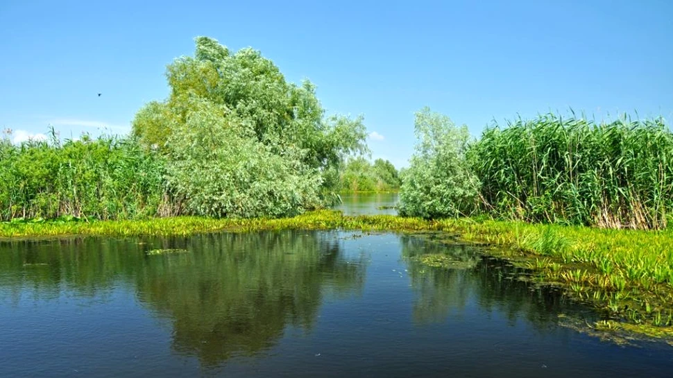 Un geolog român avertizează asupra unui dezastru natural. Ce se va întâmpla cu Delta Dunării?