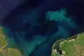 Oceanele lumii și-au schimbat culoarea din cauza schimbărilor climatice