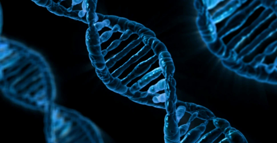 O tehnică de modificare a ADN-ului ce ar putea ajuta la tratarea bolilor poate provoca apariţia cancerului