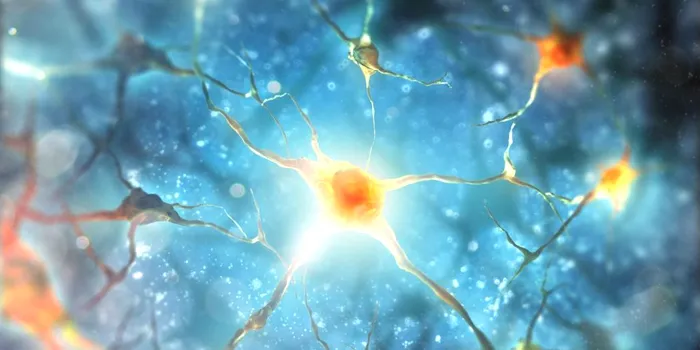 În premieră, oamenii de știință au reușit să vadă cum sunt eliminați din creier neuronii morți