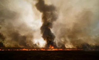 Incendiile siberiene, record istoric negativ. Aproape 5.000 de kilometri afectați de fum