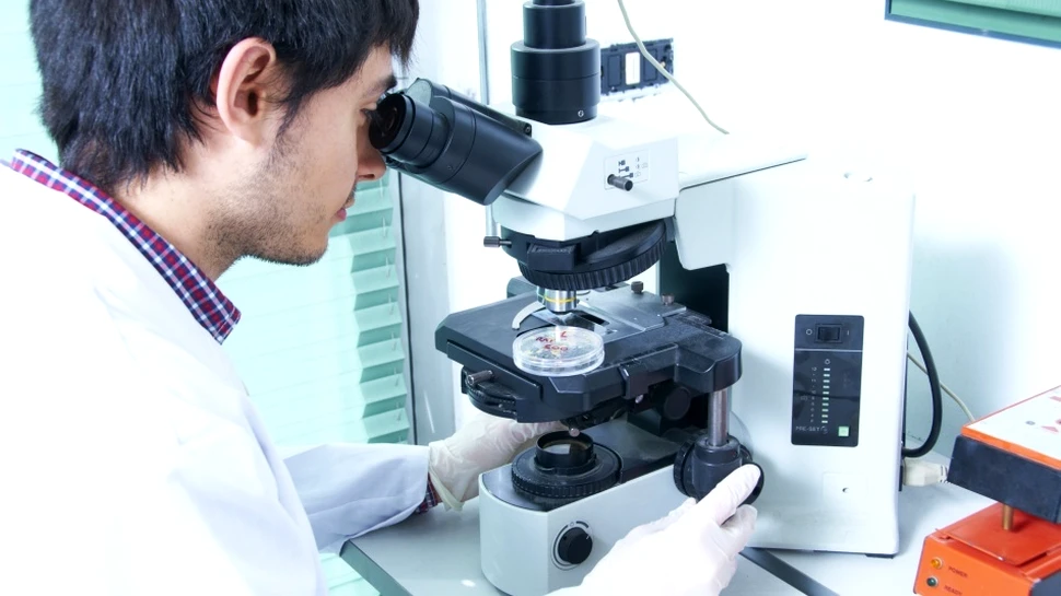 O superbacterie cu transmitere sexuală poate fi „mai rea ca SIDA”, avertizează cercetătorii