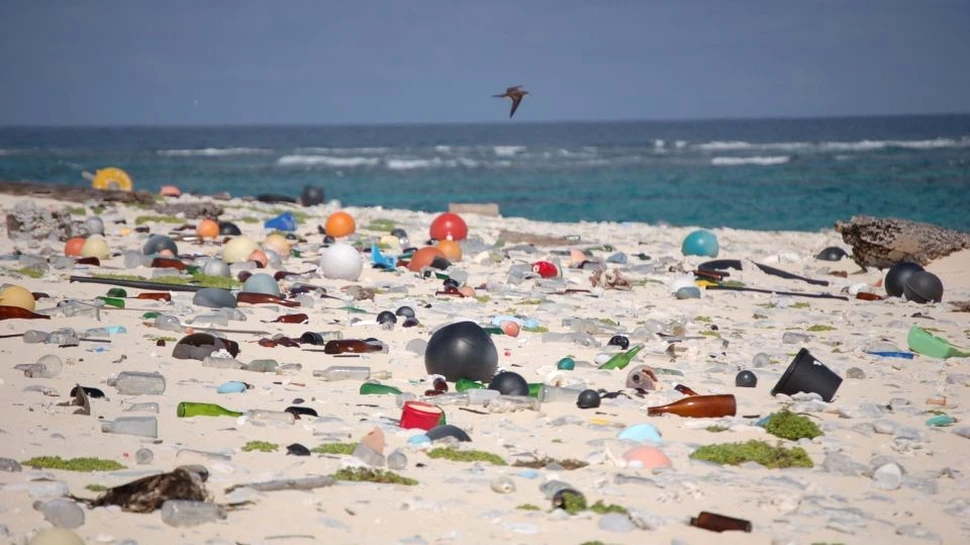 O insulă izolată conţine cea mai mare cantitate de DEŞEURI plastice din lume