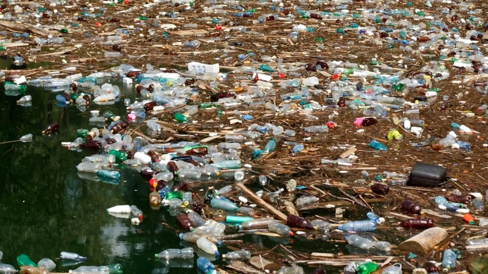 Cei care consumă hrană marină sunt expuşi riscului îmbolnăvirii