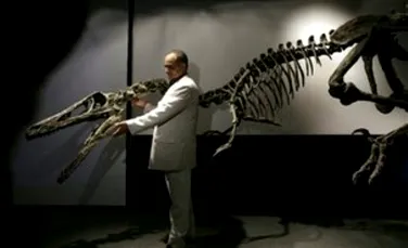 Nou dinozaur carnivor descoperit in Argentina