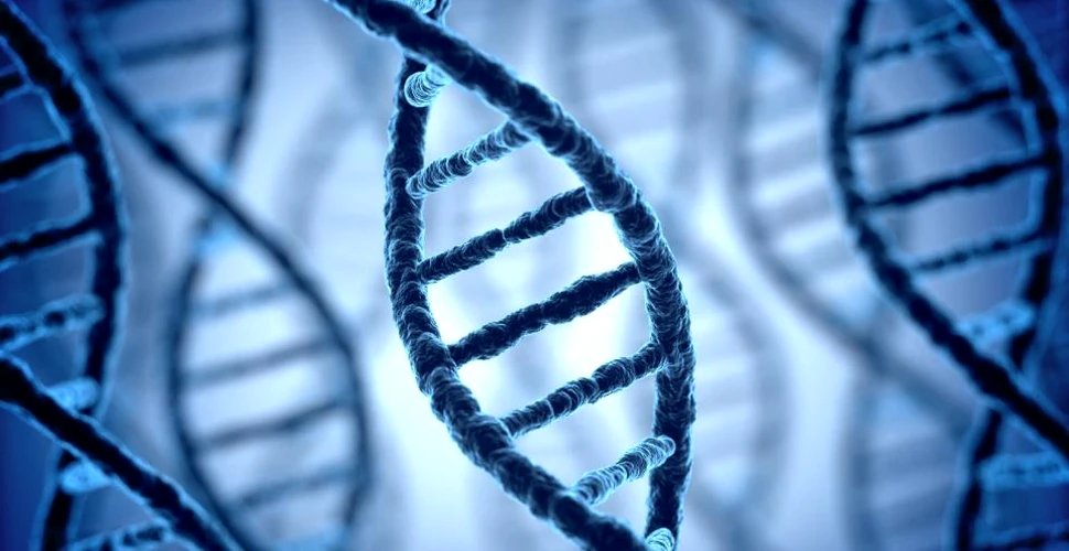 Un studiu a scos la iveală că ADN-ul ”inutil” din organisme are totuşi un rol crucial