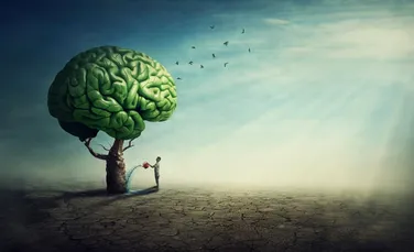 Cum și cât ne putem schimba personalitatea?