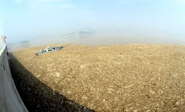 Insule de gunoaie blocheaza cel mai mare baraj al lumii (FOTO)
