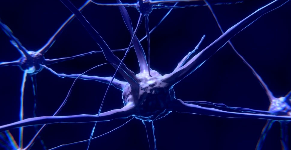 10 descoperiri impresionante despre creier care au fost făcute în 2019