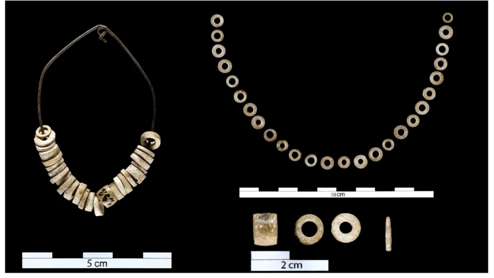 Oamenii preistorici confecționau coliere din fosile de moluște marine acum 20.000 de ani