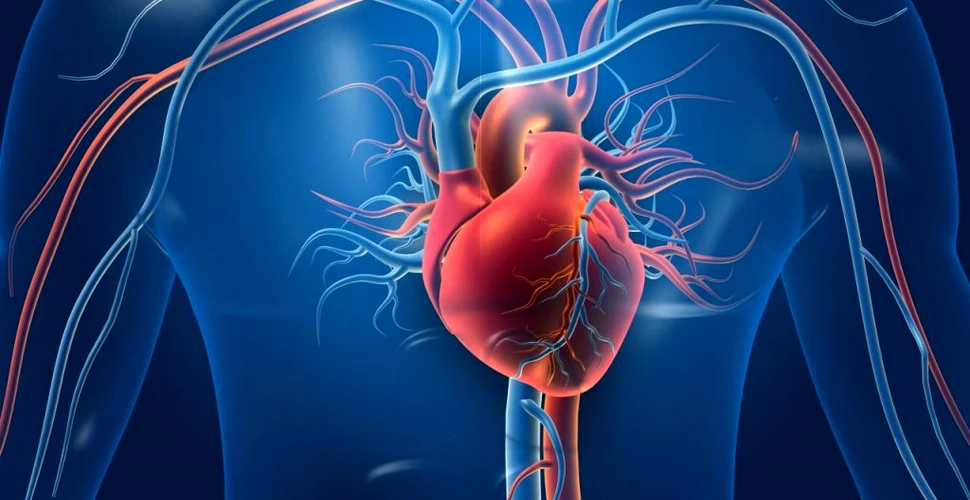 Ziua Naţională a Inimii. Cum poți să reduci riscul bolilor cardiovasculare
