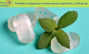 De ce menta declanșează senzația de rece?