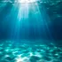 Oceanele lumii se întunecă, dezvăluie un studiu îngrijorător