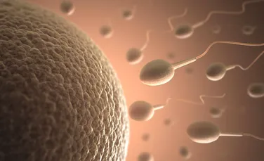 Experţii au creat o nouă tehnică de tratare a infertilităţii genetice masculine