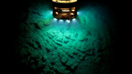 O specie necunoscută a fost descoperită la 4.000 de metri adâncime în ocean