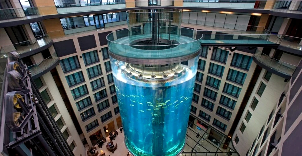 Cel mai mare acvariu cilindric din lume a explodat. 1.500 de pești exotici se aflau la interior