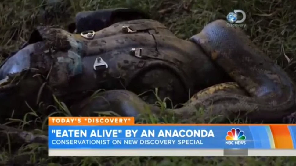Ce s-a întâmplat cu naturalistul care s-a lăsat înghiţit de viu de un anaconda? (VIDEO)