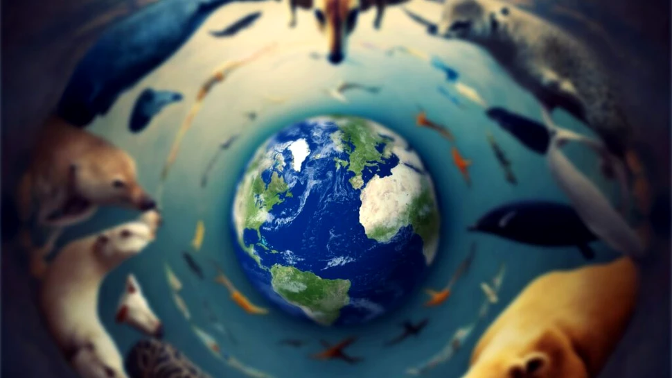 Criza climatică, la firul ierbii: Cum s-au schimbat viețile oamenilor din SUA