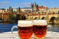 Cum vor autoritățile din Praga să descurajeze „turismul alcoolic”?