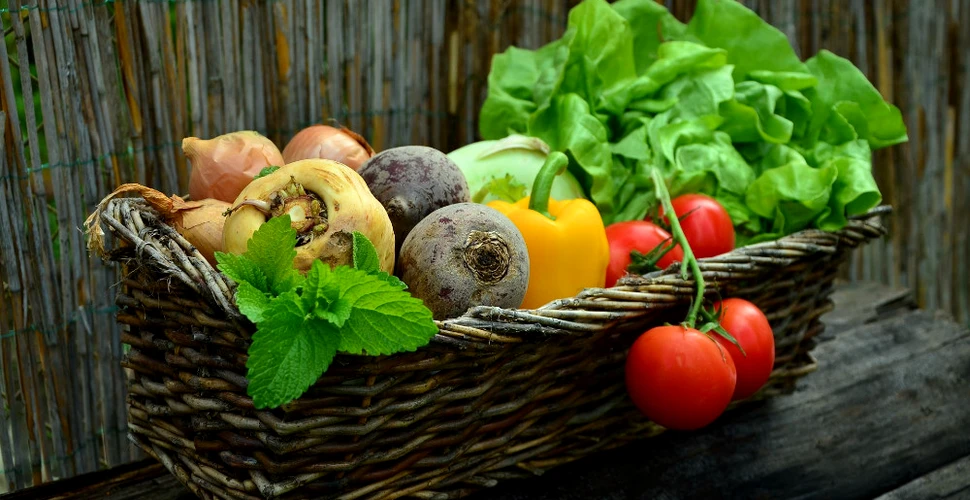 O proteină comestibilă extrasă din mătăse ar putea fi folosită pentru conservarea fructelor şi legumelor