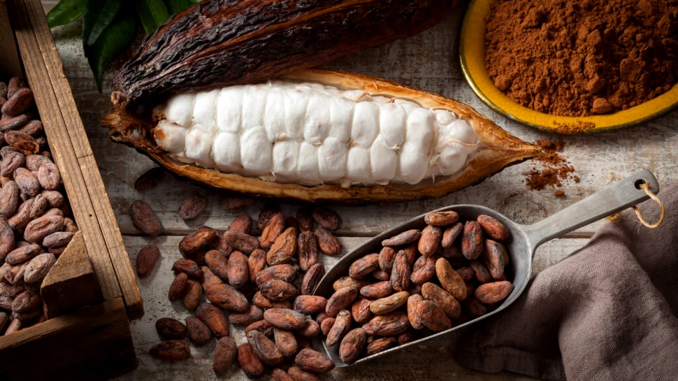 O scurtă istorie a ciocolatei, deliciul asociat cu luxul și fertilitatea