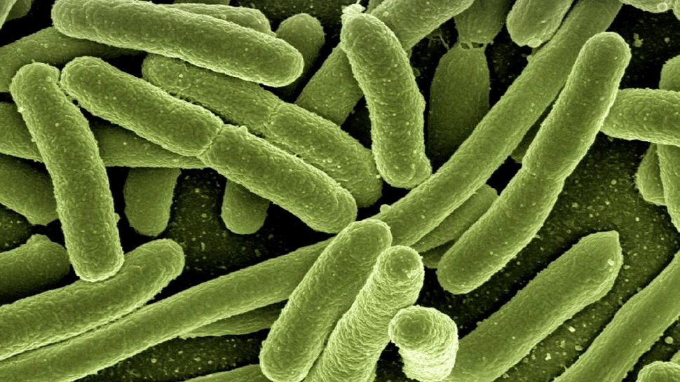 Aurul, arma secretă neașteptată în lupta cu bacteriile rezistente la antibiotice